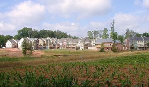 Cohousing townhouses and farm