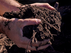 Deeper topsoil can fight climate change.