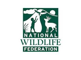 national wildlife federation